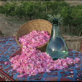 تصویر 3 از خرید و قیمت عرق گلاب گل محمدی + فروش عمده